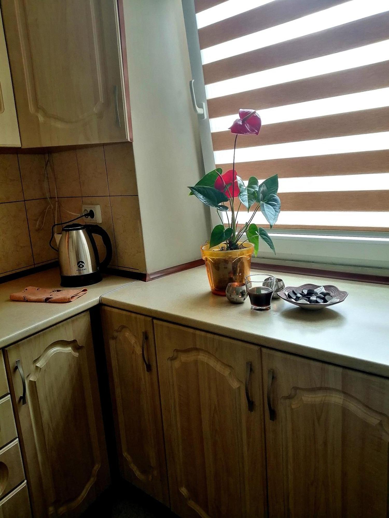 Flat On Sheptytskykh Apartment Lviv Bagian luar foto