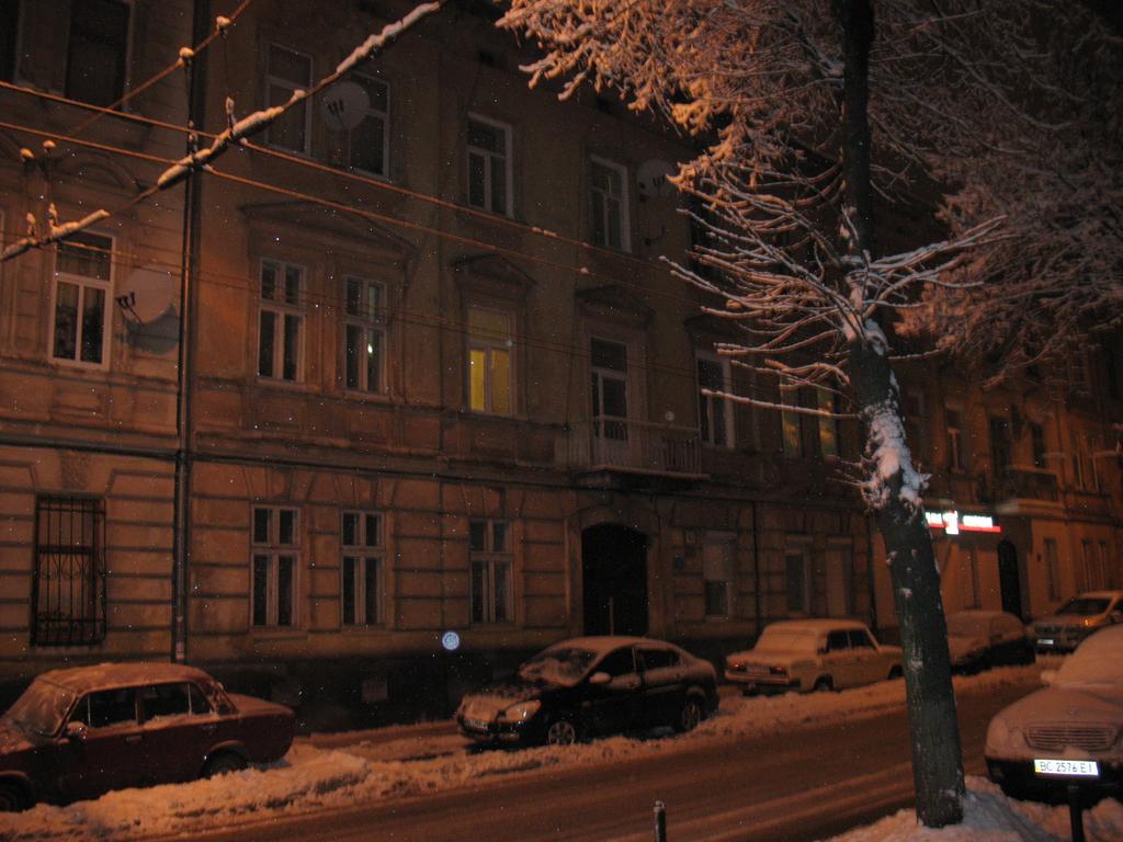 Flat On Sheptytskykh Apartment Lviv Bagian luar foto