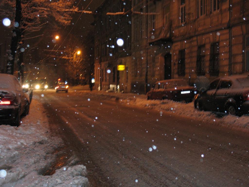 Flat On Sheptytskykh Apartment Lviv Bagian luar foto