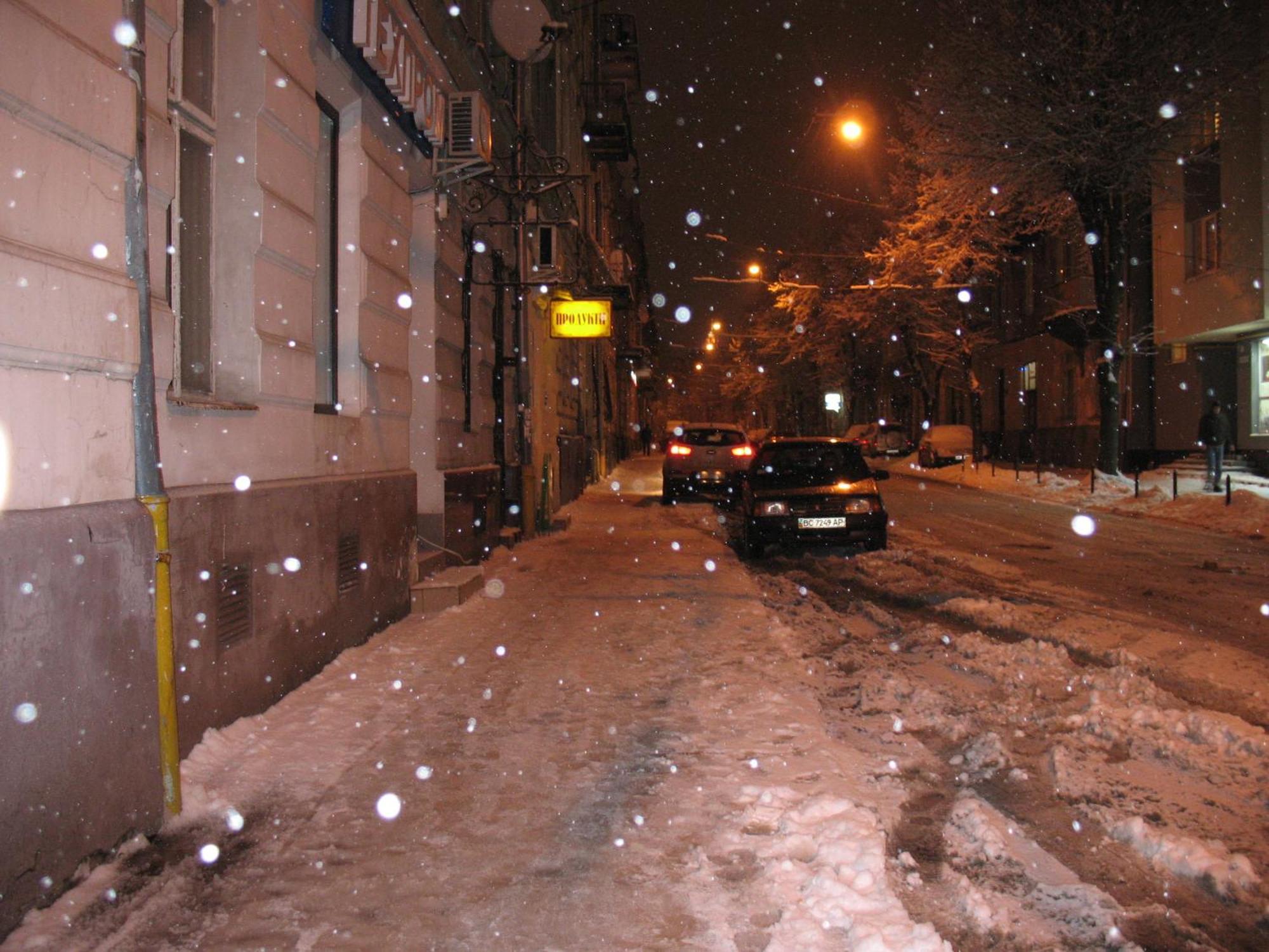 Flat On Sheptytskykh Apartment Lviv Bagian luar foto